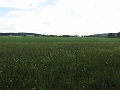 Wanderung 2014_137